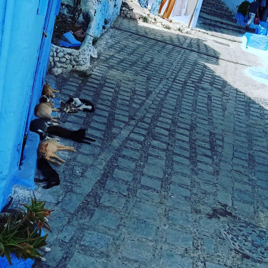 Casa Mablu Apartment